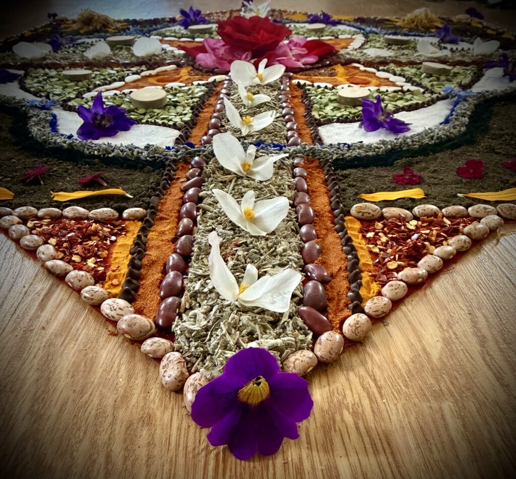 The programs featured image
